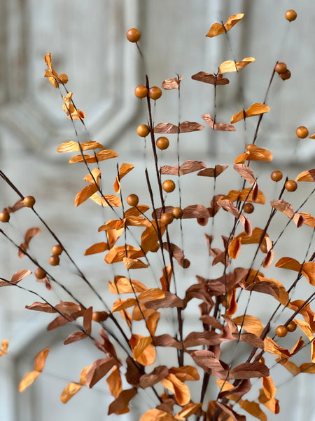 Morse Berry Bush | 26" | Rust