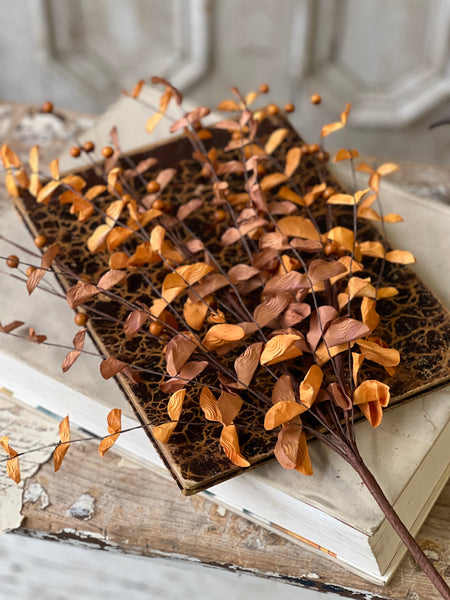 Morse Berry Bush | 26" | Rust