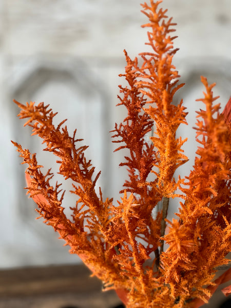 Scalway Grass | 21" | Orange | Lost & Found! Limited Stock - Last 6 pcs!