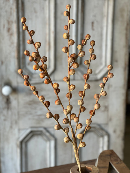 Shawl Buds | 36" | Maize | SOLD OUT