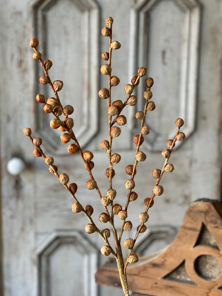 Shawl Buds | 36" | Maize | SOLD OUT