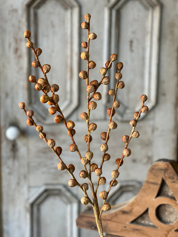 Shawl Buds | 36" | Maize | SOLD OUT