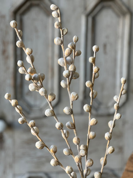 Shawl Buds | 36" | Cream