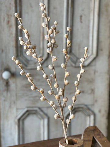 Shawl Buds | 36" | Cream