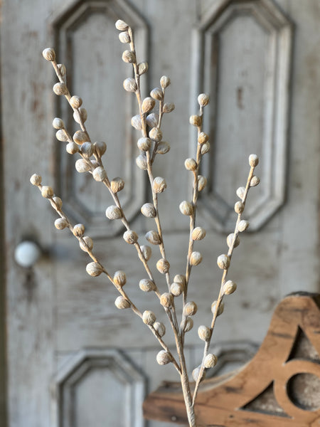 Shawl Buds | 36" | Cream