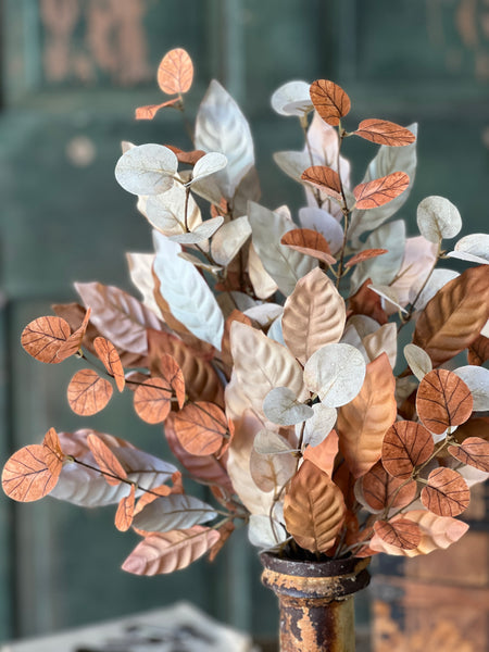 September Shadows Bush | 20" | SOLD OUT