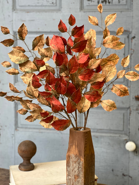 Spectator Stems | 35" | Spice | SOLD OUT