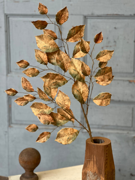 Spectator Stems | 35" | Moss | SOLD OUT