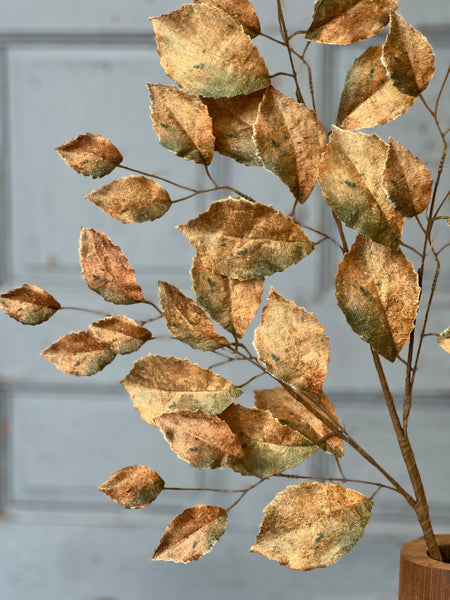 Spectator Stems | 35" | Moss | SOLD OUT