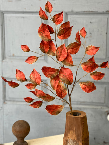 Spectator Stems | 35" | Rusty | SOLD OUT