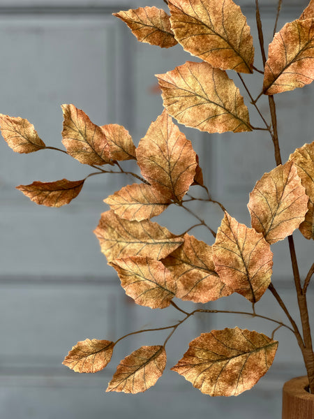 Spectator Stems | 35" | Spice | SOLD OUT