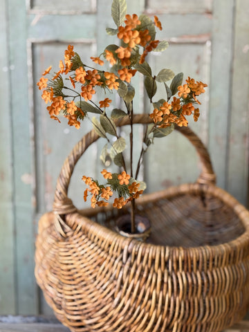 Lisette Blooms | 35" | Orange