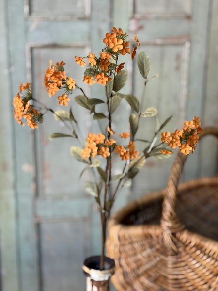 Lisette Blooms | 35" | Orange