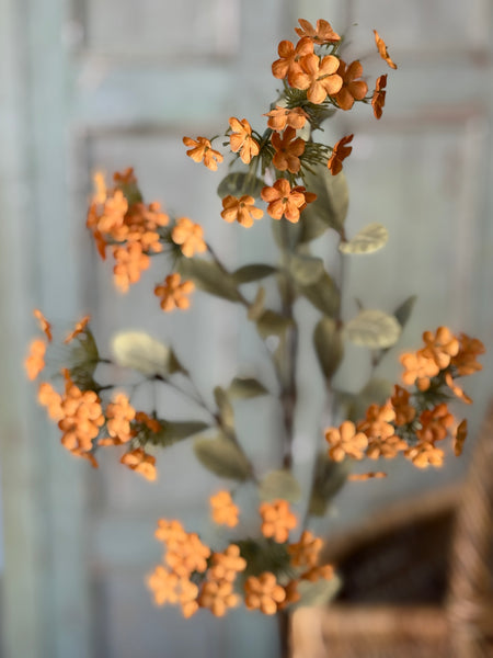 Lisette Blooms | 35" | Orange