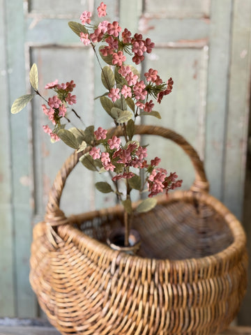 Lisette Blooms | 35" | Pink