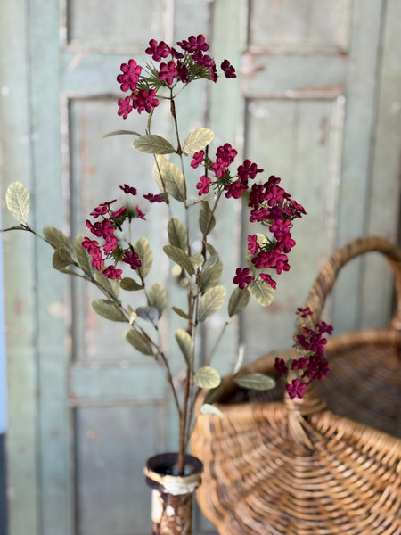 Lisette Blooms | 35" | Sangria