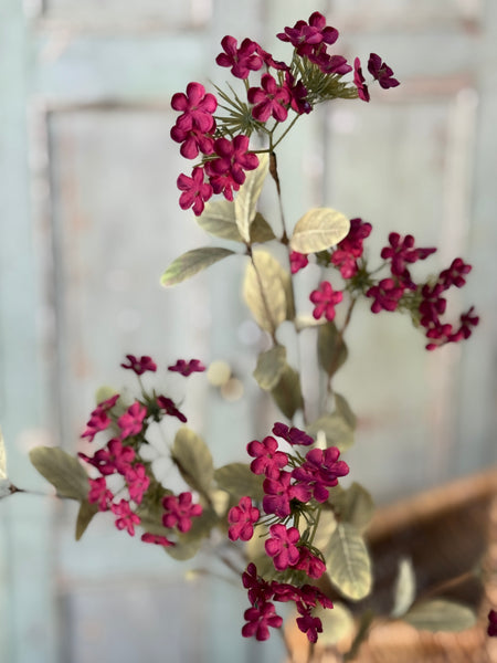 Lisette Blooms | 35" | Sangria