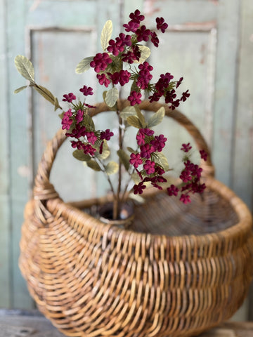 Lisette Blooms | 35" | Sangria