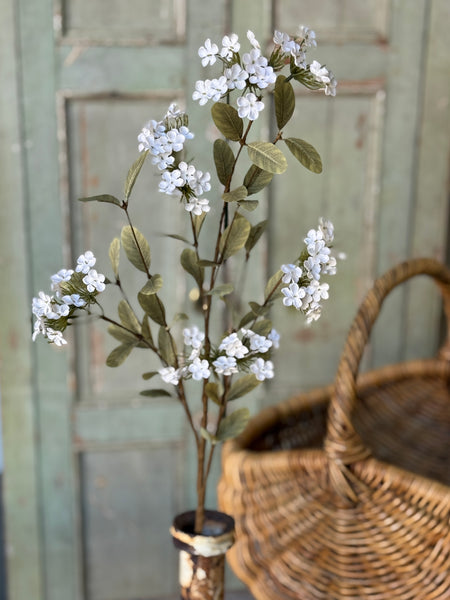 Lisette Blooms | 35" | Cream