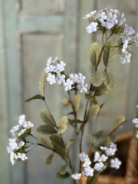 Lisette Blooms | 35" | Cream