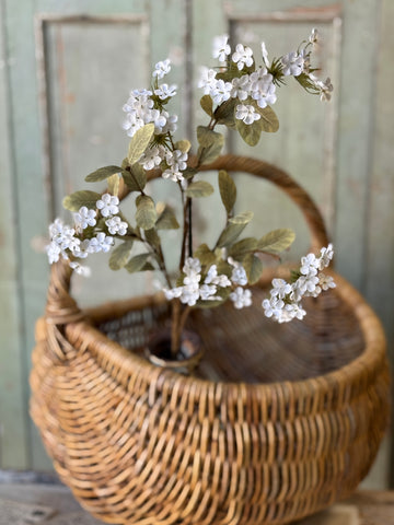 Lisette Blooms | 35" | Cream