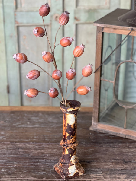 Hickory Pod Spray | 25" | SOLD OUT