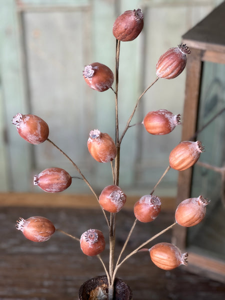 Hickory Pod Spray | 25" | SOLD OUT