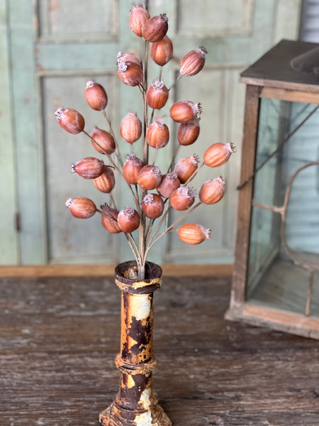 Hickory Pod Spray | 25" | SOLD OUT