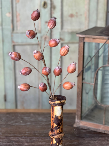 Hickory Pod Spray | 25" | SOLD OUT