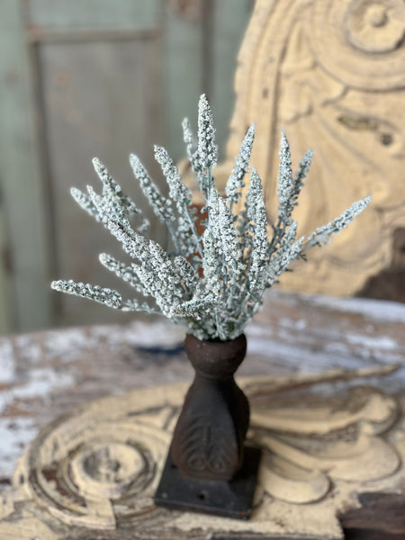 Bigsby Bush | 10" | Cream | CLOSEOUT + CLEAN UP SPECIAL!  From $1.50 - Last 360pcs!