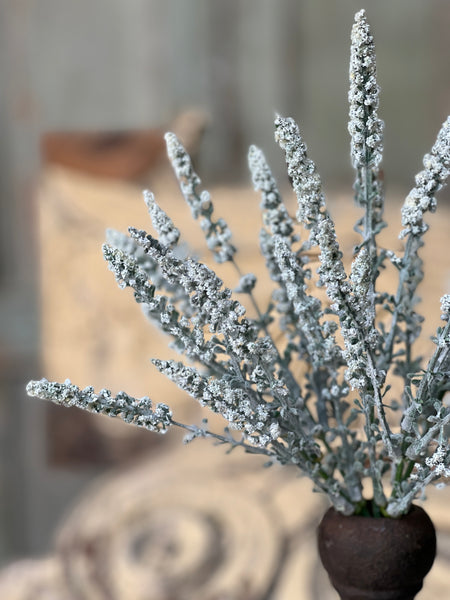 Bigsby Bush | 10" | Cream | CLOSEOUT + CLEAN UP SPECIAL!  From $1.50 - Last 360pcs!