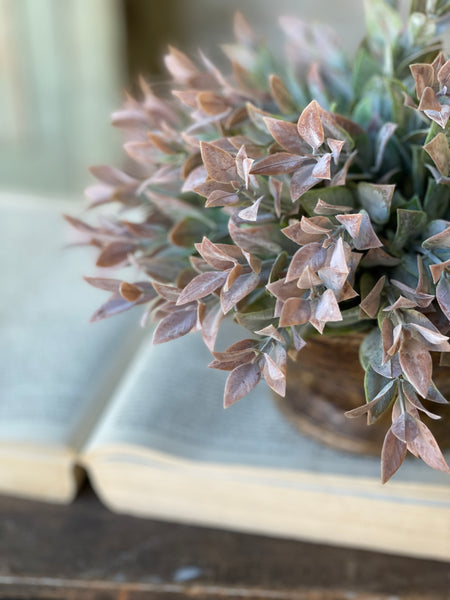 Dawn's Break Half Sphere | 11" | CASE PACK SPECIAL!  $3.50