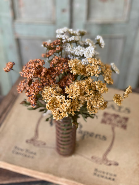 Fennel Flower Bundle | 13" | Cream | SOLD OUT