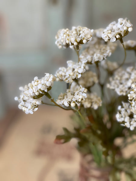 Fennel Flower Bundle | 13" | Cream | SOLD OUT