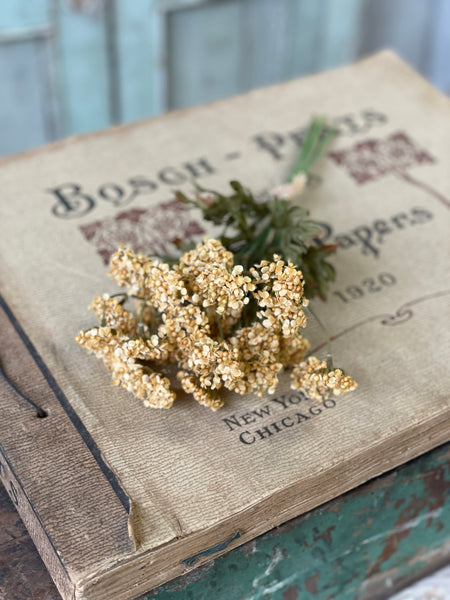 Fennel Flower Bundle | 13" | Mustard | SOLD OUT