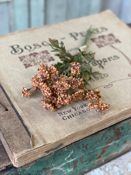 Fennel Flower Bundle | 13" | Pumpkin | SOLD OUT