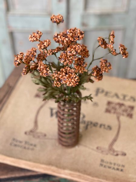 Fennel Flower Bundle | 13" | Pumpkin | SOLD OUT