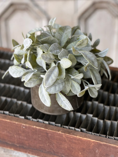 Grand Bay Half Sphere | 11" | CLOSEOUT + CLEAN UP SPECIAL!  From $2.95 - Last 48pcs!