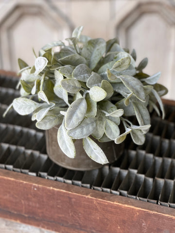 Grand Bay Half Sphere | 11" | CLOSEOUT + CLEAN UP SPECIAL!  From $2.95 - Last 48pcs!