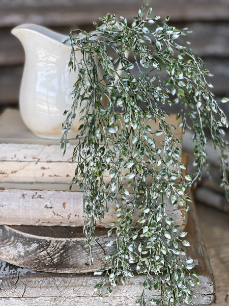 Little Luna Hanging | 24" | Green | NOT CURRENTLY IN STOCK - Spring 2026