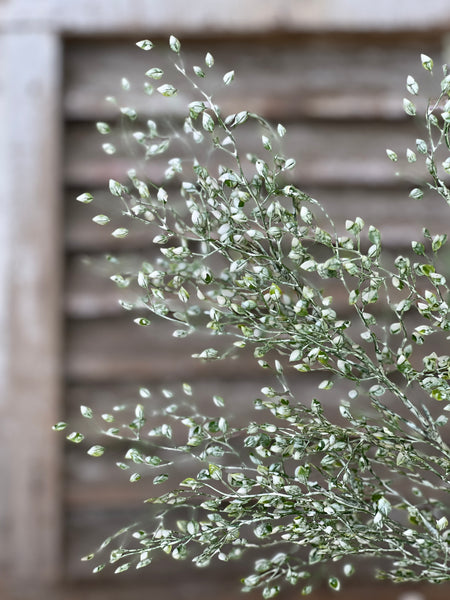 Little Luna  Spray | 29" | Green | NOT CURRENTLY IN STOCK - Spring 2026