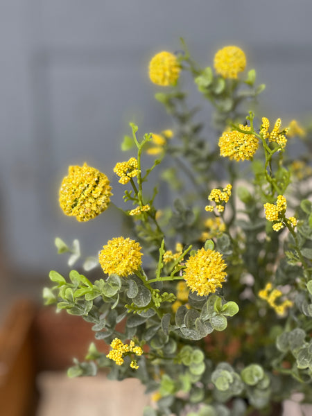 Garden Bliss Bush | 15" | Yellow