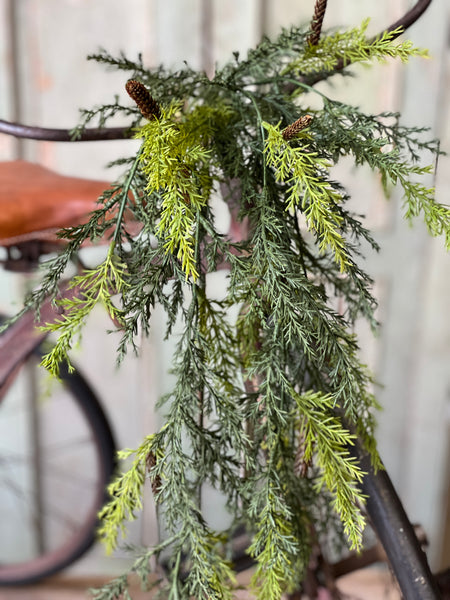 Prickly Pine Hanging | Green | 33" | SOLD OUT