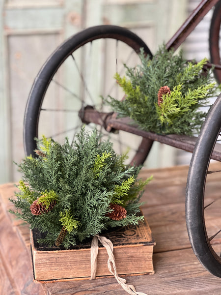 Prickly Pine Half Sphere | Green | 12" | Lost & Found - Last 12pcs!