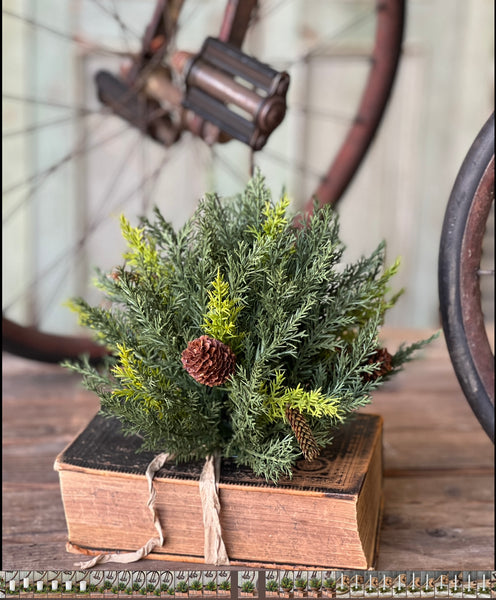 Prickly Pine Half Sphere | Green | 12" | Lost & Found - Last 12pcs!