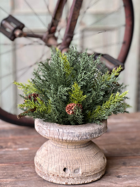 Prickly Pine Half Sphere | Green | 12" | Lost & Found - Last 12pcs!