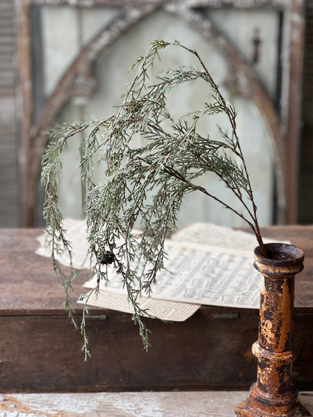 Weeping Cedar Branch | Snow | 34" | SOLD OUT