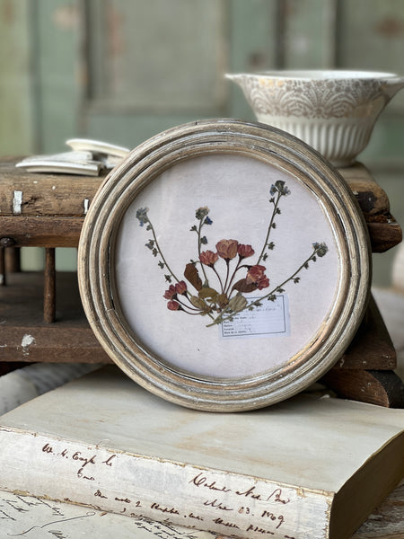 Wakefield Botanicals | 8" | Flowers | NOT CURRENTLY IN STOCK - Spring 2026