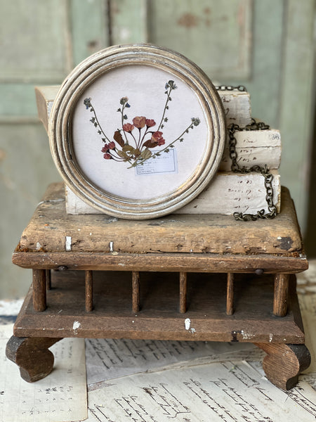 Wakefield Botanicals | 8" | Flowers | NOT CURRENTLY IN STOCK - Spring 2026