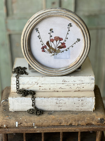 Wakefield Botanicals | 8" | Flowers | NOT CURRENTLY IN STOCK - Spring 2026